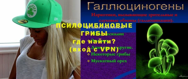 бошки Алзамай