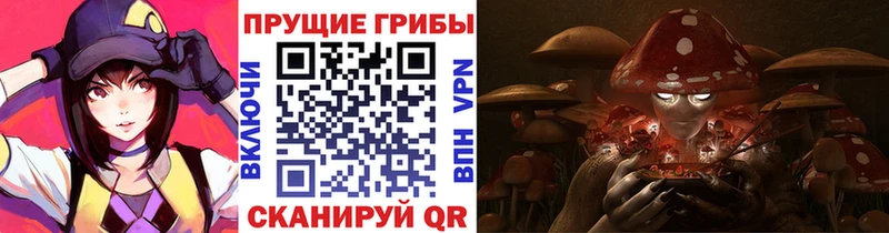 Купить закладки  Александров  Псилоцибиновые грибы Psilocybe 