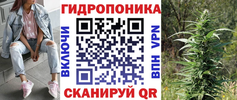 Купить где  Александров  Бошки марихуана White Widow 